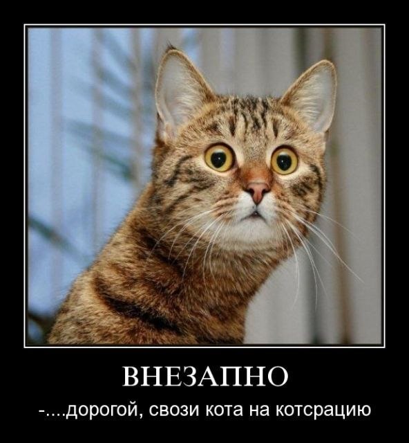 Никита Мацерук | Запорожье