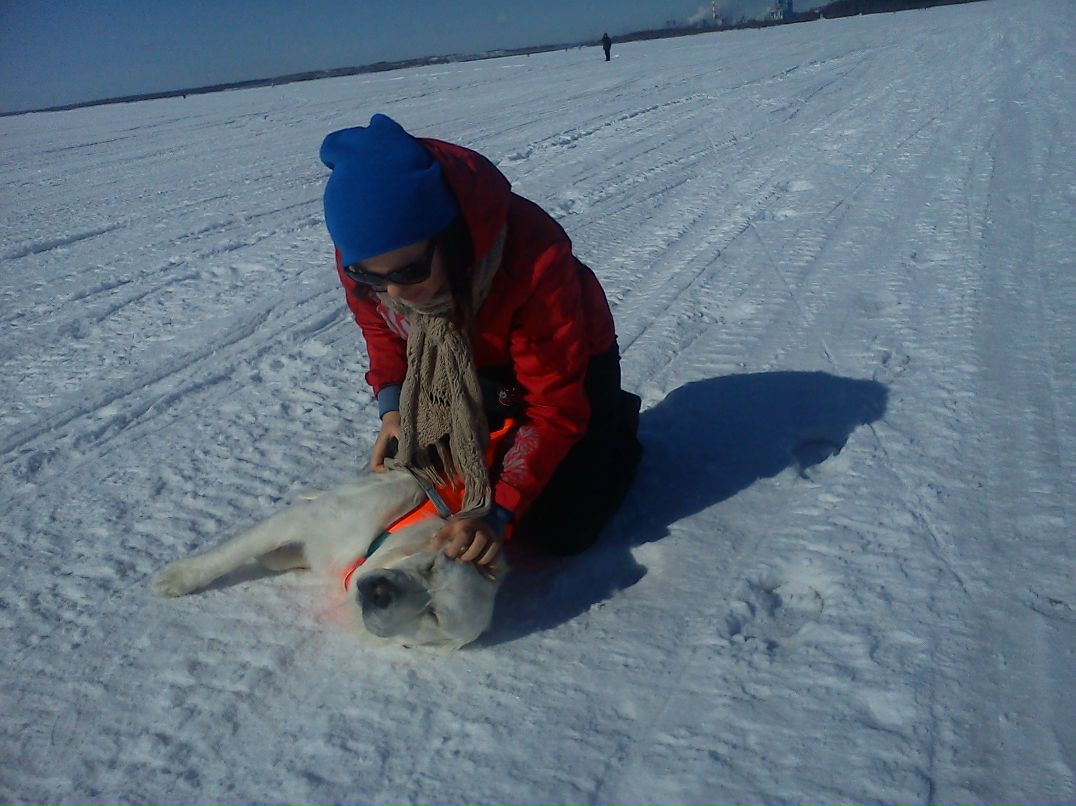 Алёна Чувичко | Malmö