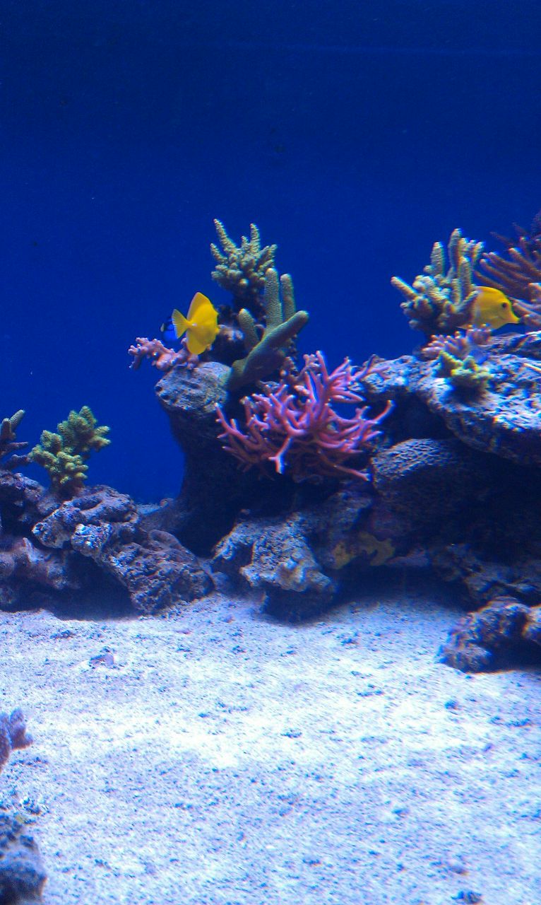 Кристина Дрёмина | Рязань