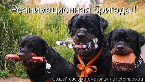 №14, Оксана Шаповалова, 59 лет, Херсон №14, Оксана Шаповалова, 59 лет, Херсон