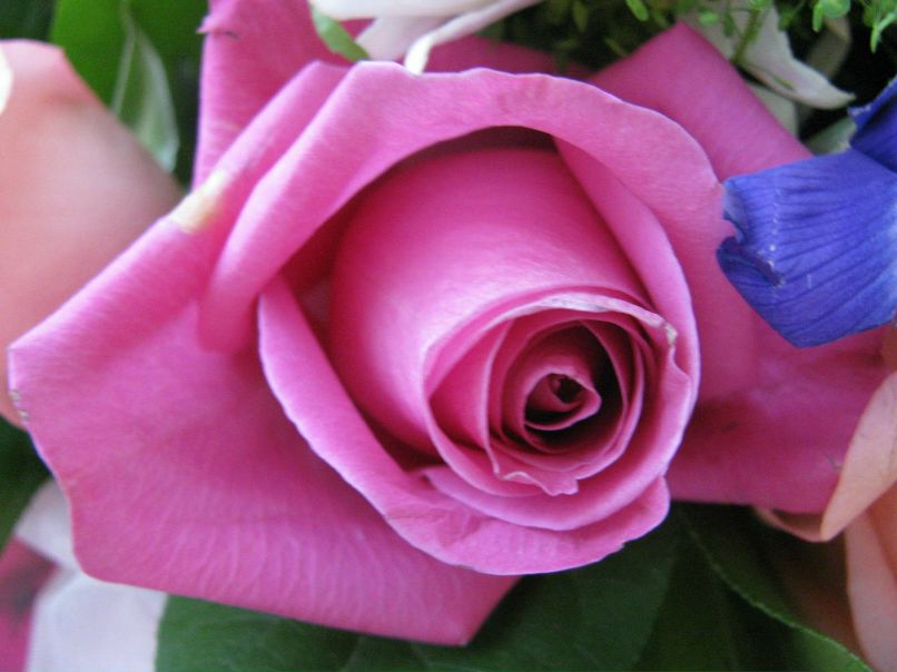 Елена Митюкова | Москва