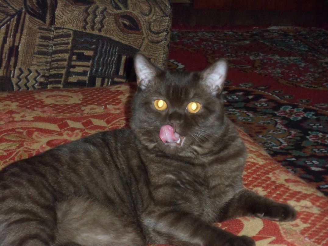 Юлия Носевич | Красноярск