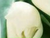 Christina Savenkova ♥✔♥ | 