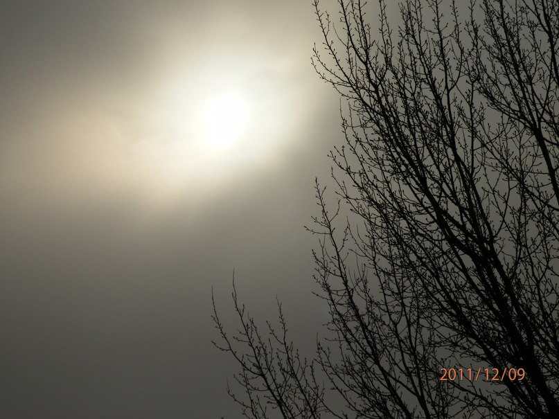 Викуля Федюк | 