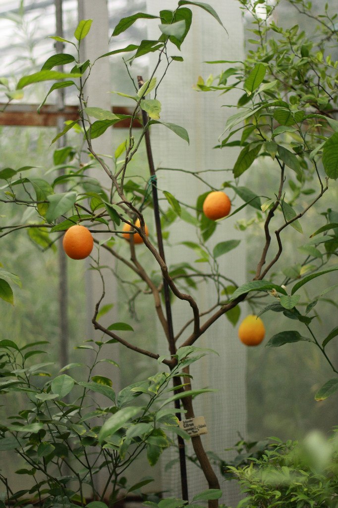 Маша Борисова | Санкт-Петербург