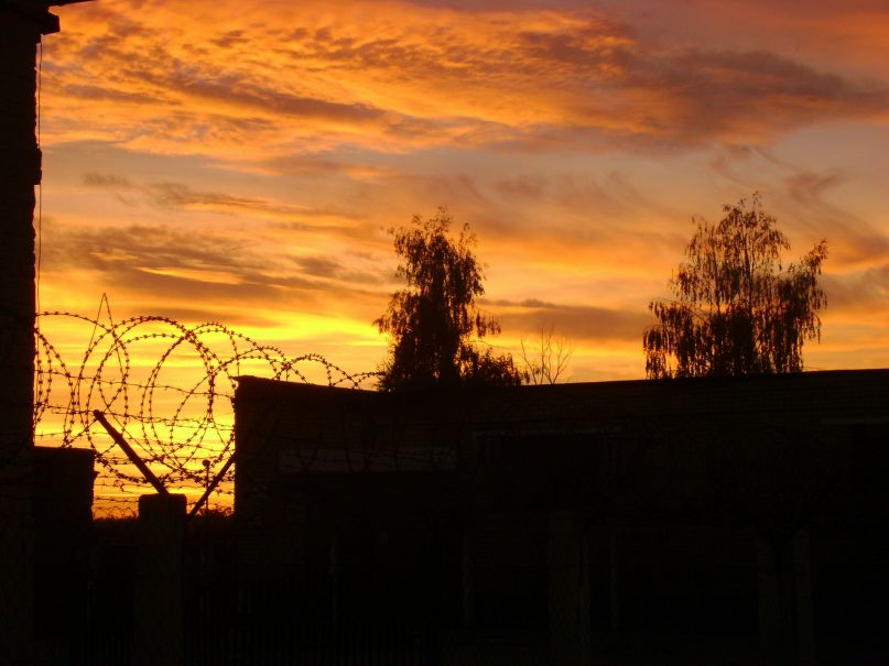 Вадим Павленко | Житомир