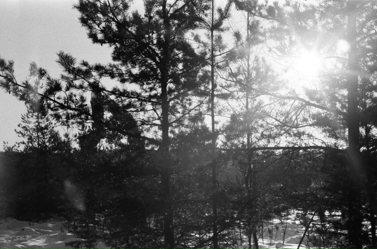 Георгий Алексеенко | Санкт-Петербург