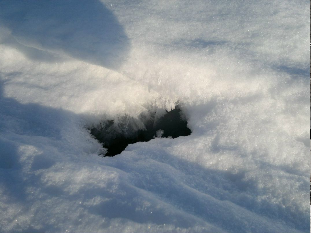 Андрей Азаревич Hellhound | Москва