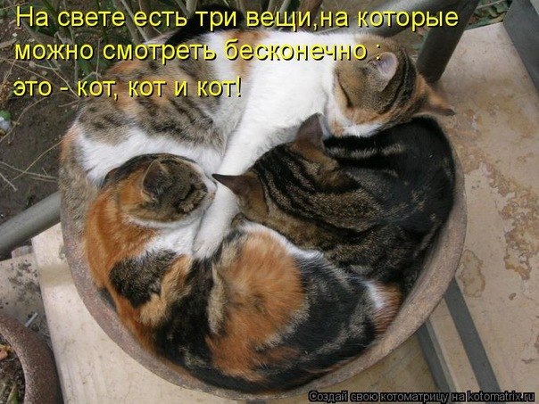 Владимир Котовский | Москва