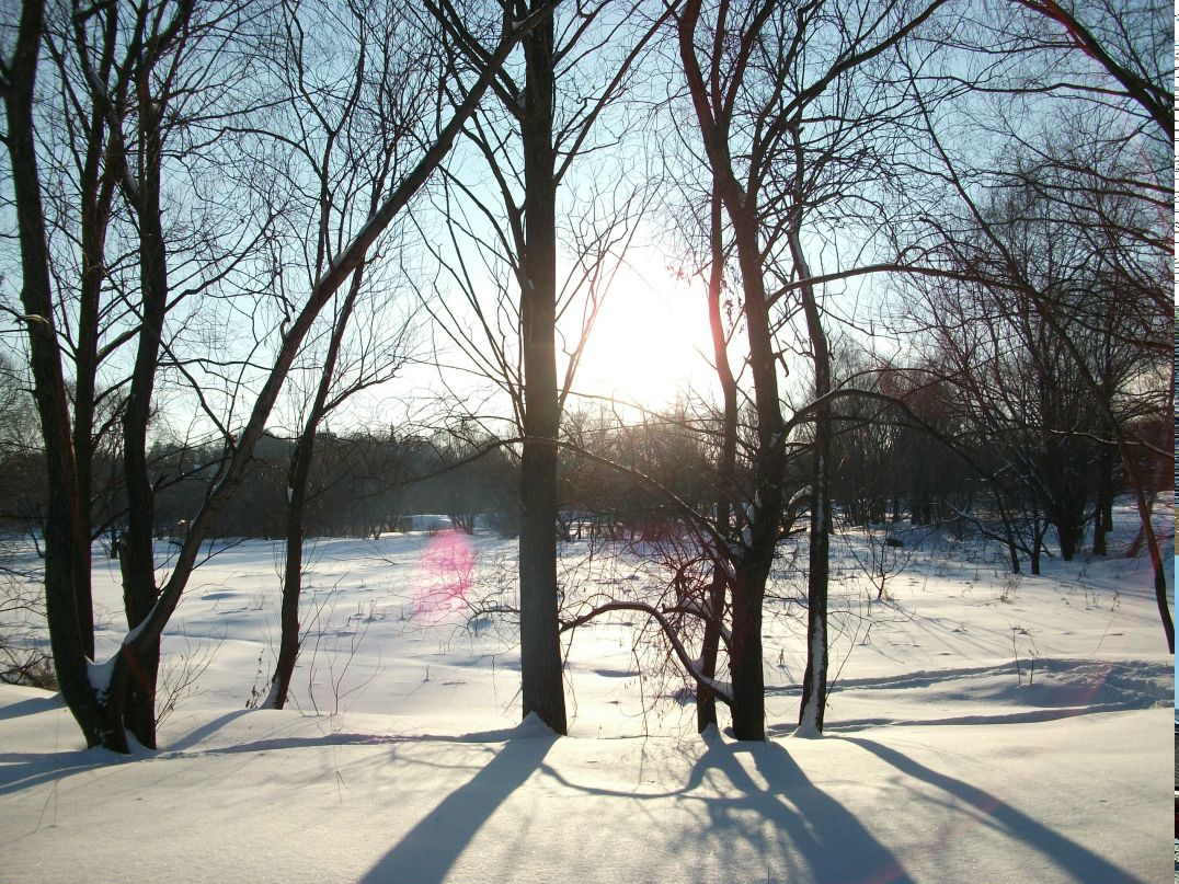 Татьяна Филиппова | Москва