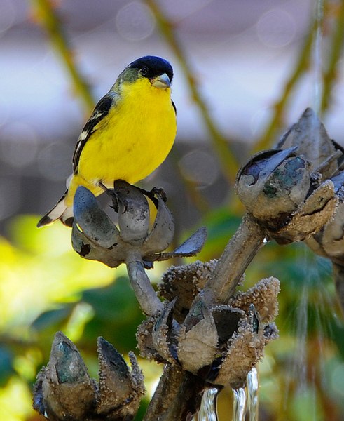 Дарья Блохина Сергеевна | Москва