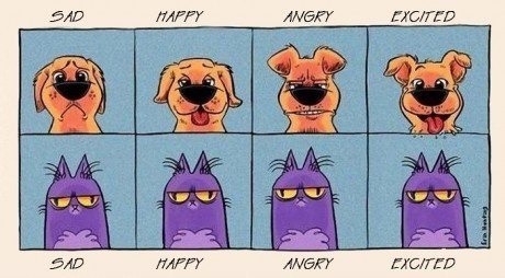 №17, Инна Бейкман, Кириши №17, Инна Бейкман, Кириши