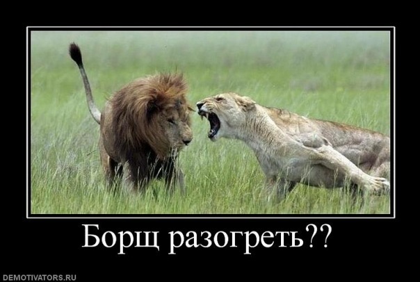 №5, Екатерина Ларионова, Санкт-Петербург №5, Екатерина Ларионова, Санкт-Петербург