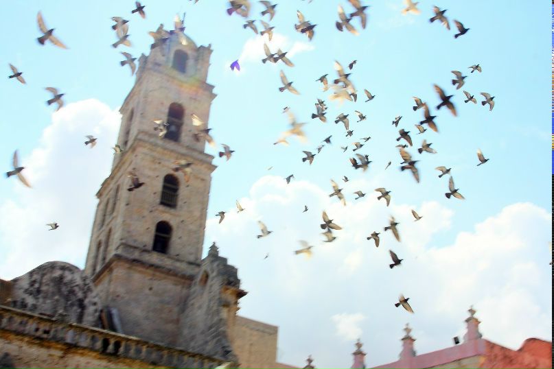 Яна Волкова | Москва