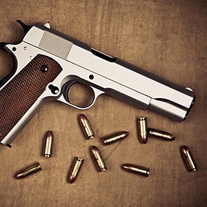 №28, Українська Власників зброї, Киев №28, Українська Власників зброї, Киев