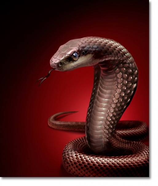 №14, Мария Исмаилова №14, Мария Исмаилова