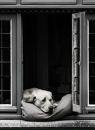 №12 Маша Трофимова 02.07.1988: профиль, фото, статус - ВКонтакте