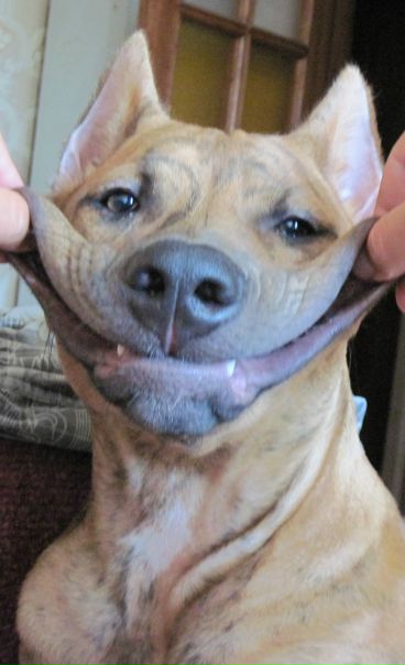 №36, Вова Кавицкий, 40 лет, Запорожье №36, Вова Кавицкий, 40 лет, Запорожье