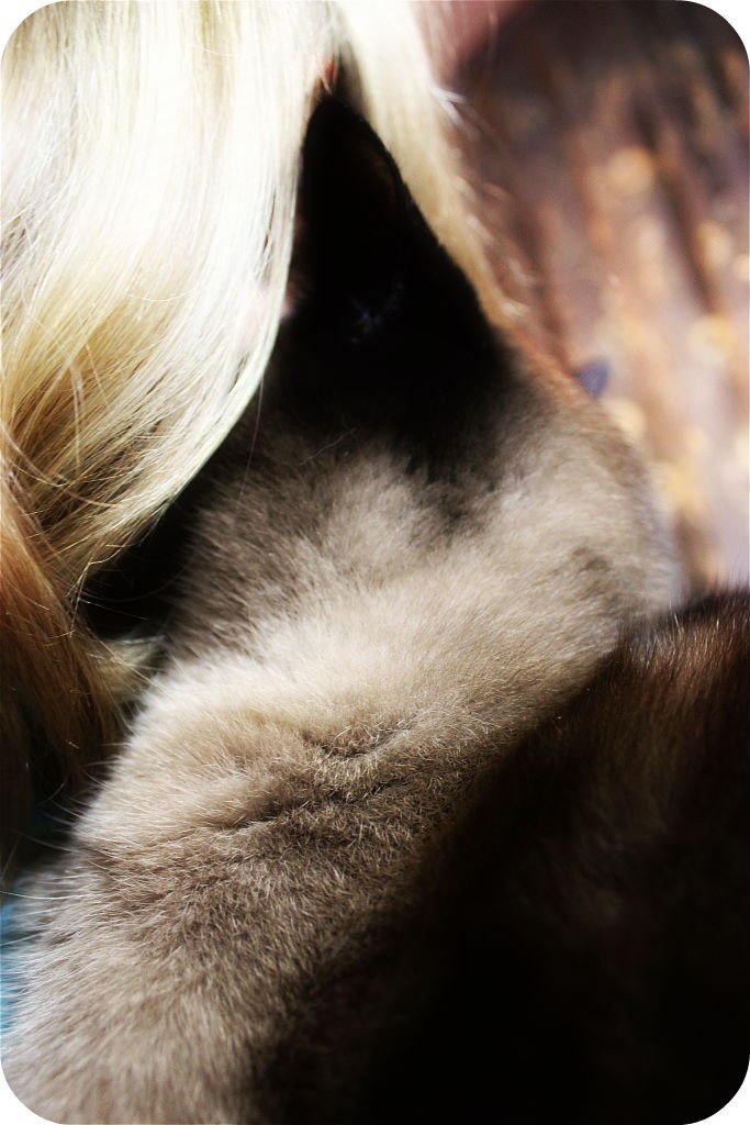 Kseniia Skachkova | Kraków