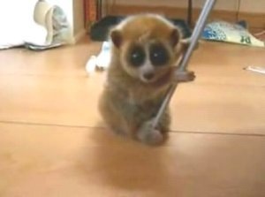 №9, Катаріна Саранчук, Киев №9, Катаріна Саранчук, Киев