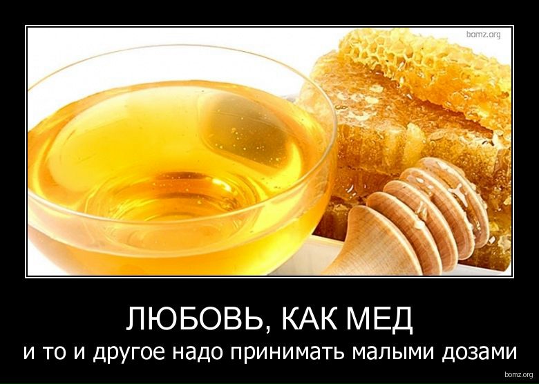 №42, Адріан Захарків, Львов №42, Адріан Захарків, Львов