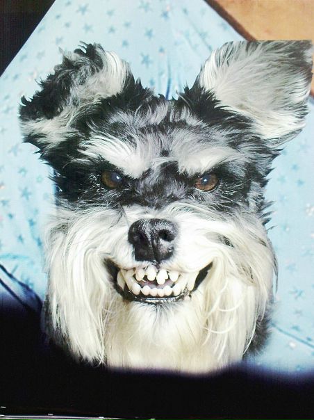 №11, Андрей Колпаков №11, Андрей Колпаков