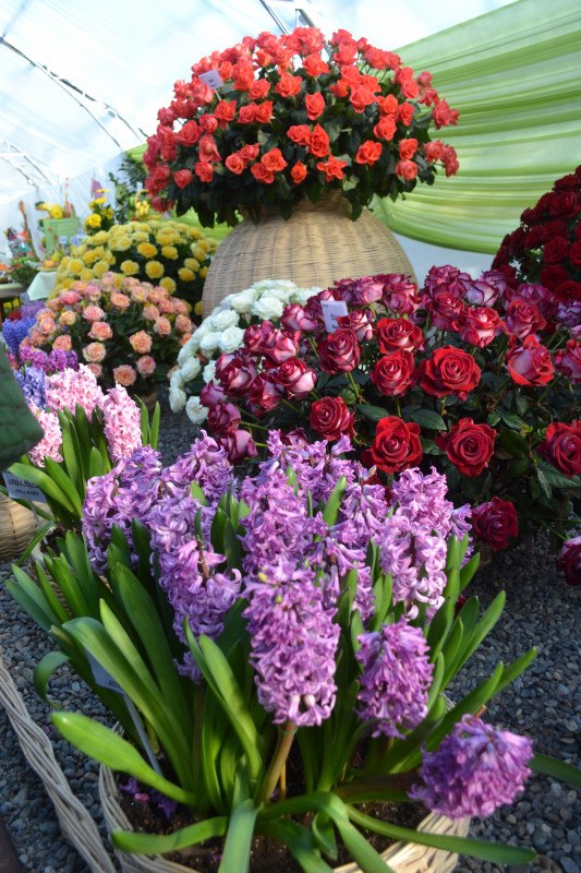 Татьяна Владыкина | Ижевск