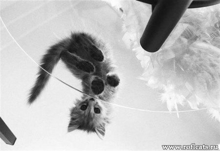 Наталья Петрова | Псков