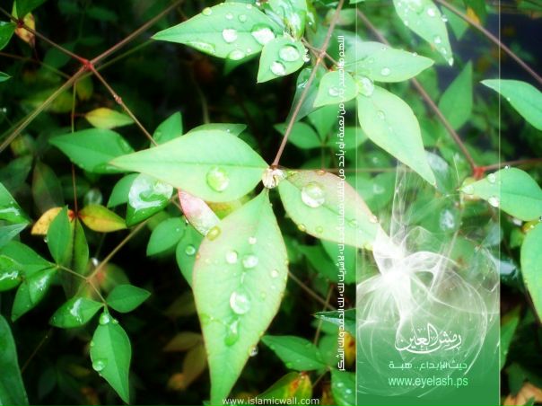 №9, Амина Сабирова, Набережные Челны №9, Амина Сабирова, Набережные Челны