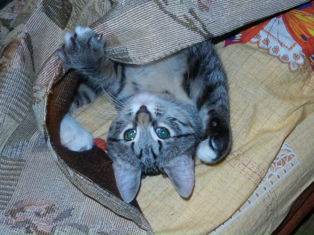 Юлия Корнилова | Псков