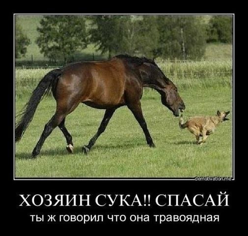 №23, Александр Груздев, Кинешма №23, Александр Груздев, Кинешма