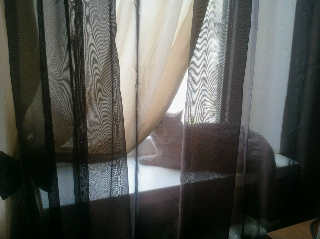 Настя Иванова | Херсон