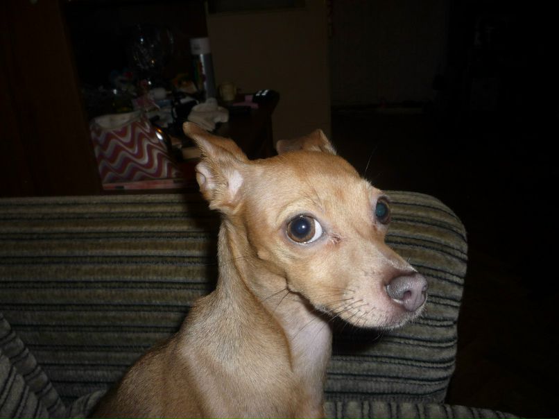 Любовь Иванова | Санкт-Петербург