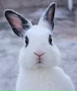 Фотография Андрей Никитин