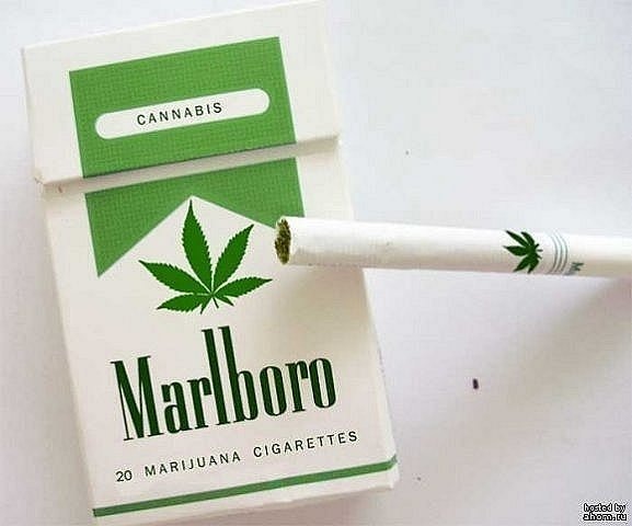 №84, Вадик Рылов №84, Вадик Рылов