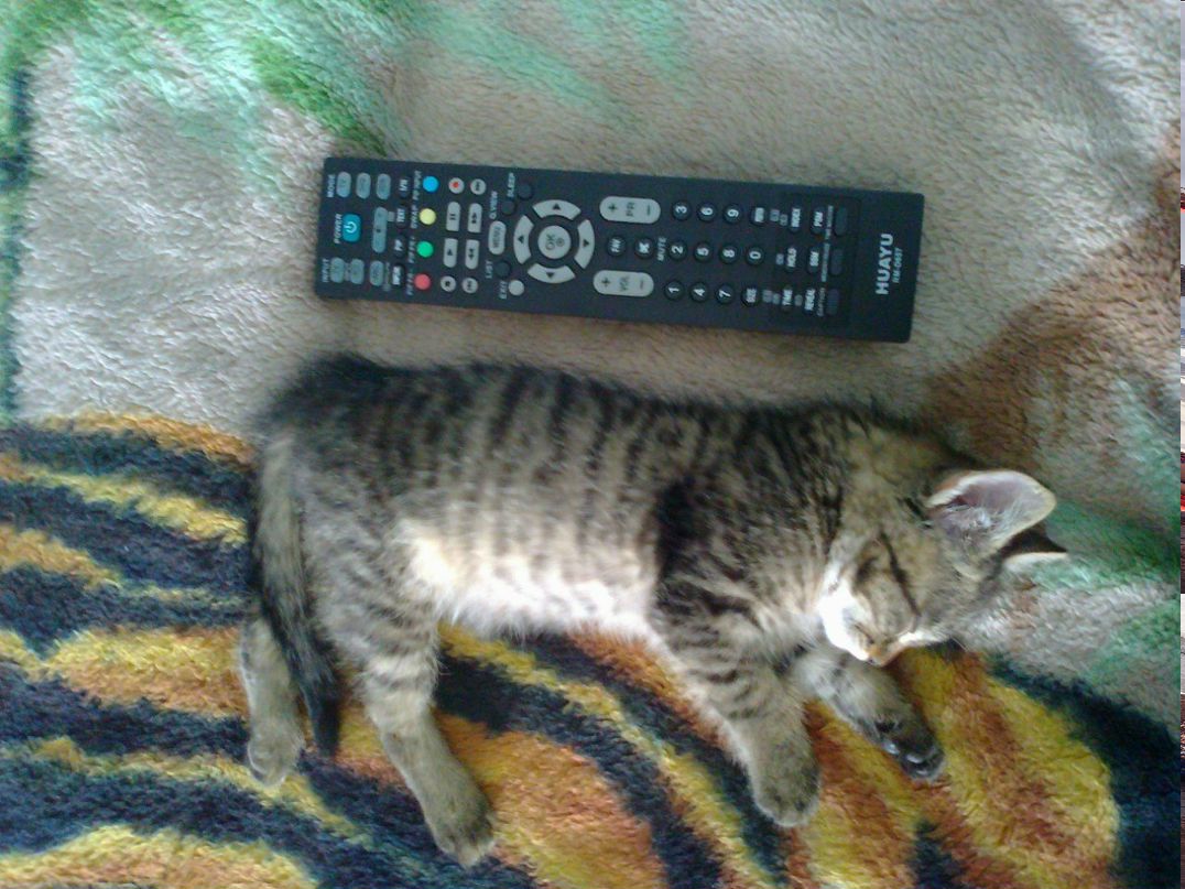 Олеся Казорина | Иркутск