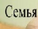 Светлана Садртдинова фотография #23