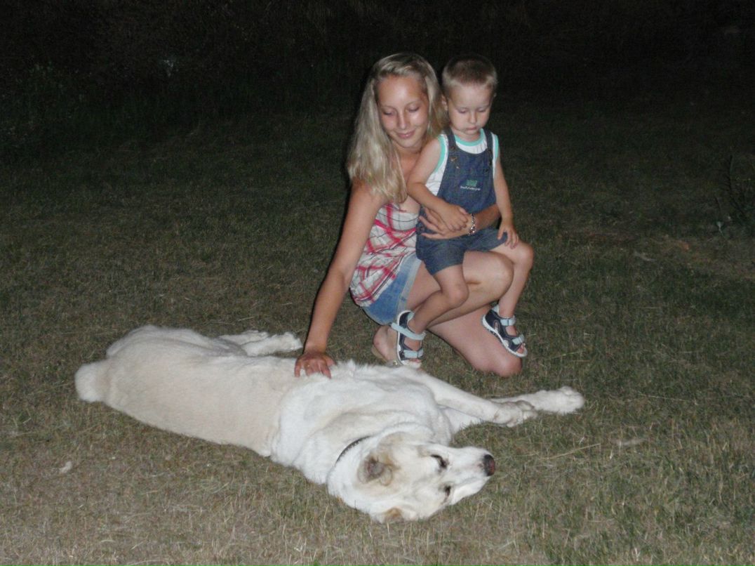 Александр Мосидзе | Salou