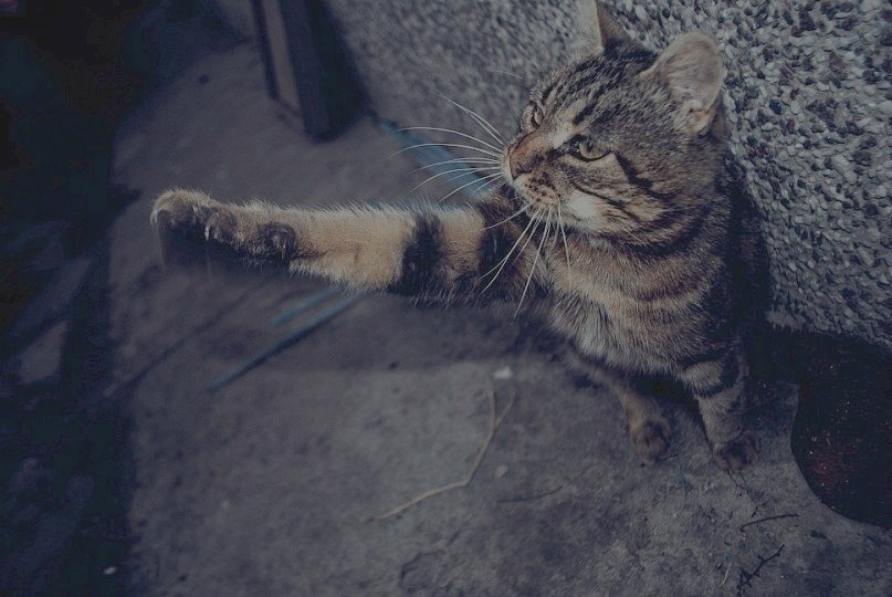 Виталий Клюев | Москва