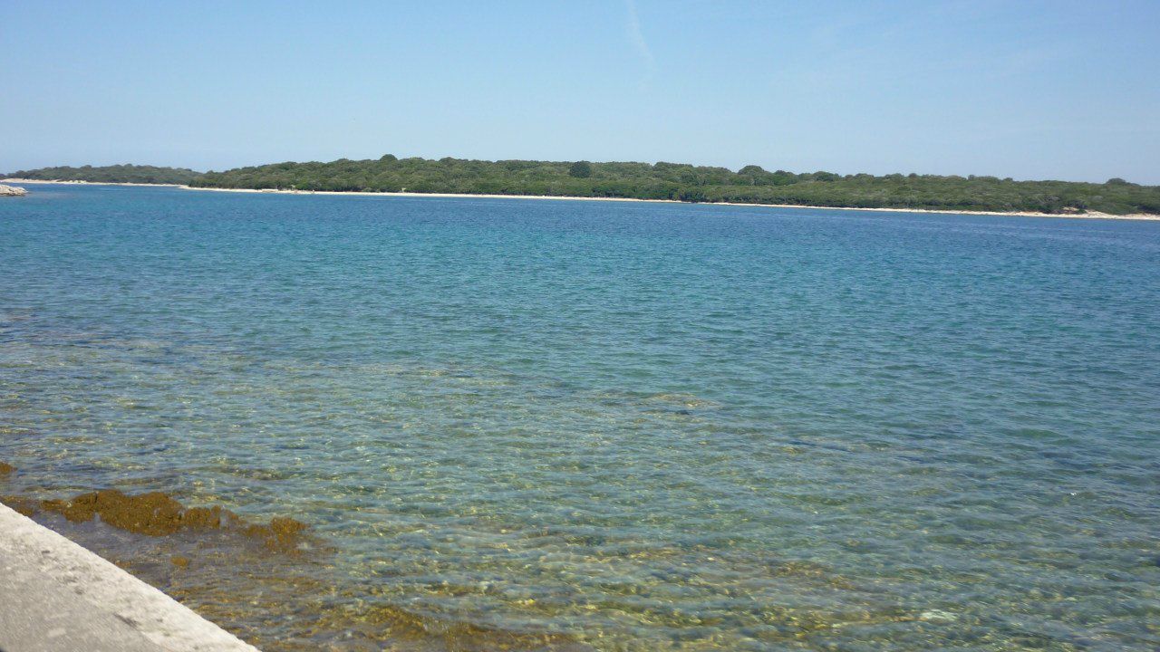 Юрий Юша | Ростов-на-Дону