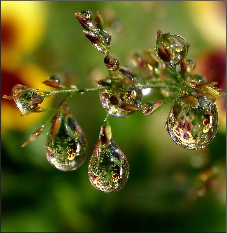 Ирина Борель | Мурманск