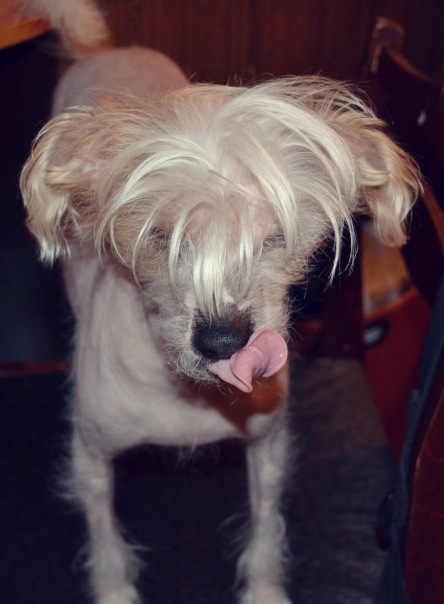 №188, Раиса Румянцева, 42 года, Тюмень №188, Раиса Румянцева, 42 года, Тюмень