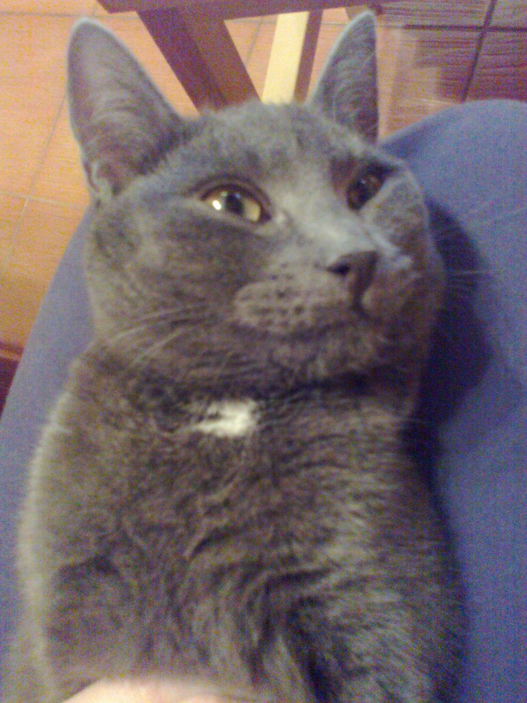 Наталия Кривченкова Ипатова | Москва