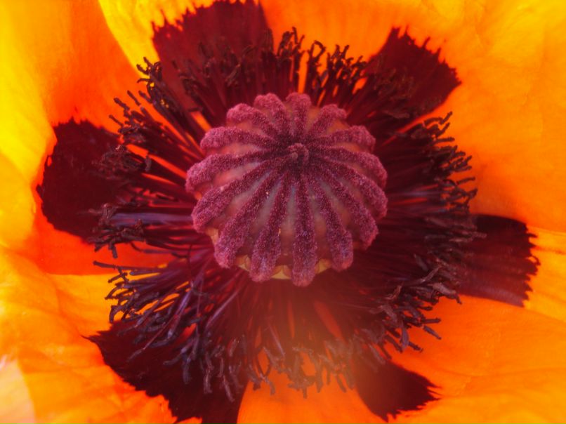 Татьяна Подоксенова | Уфа