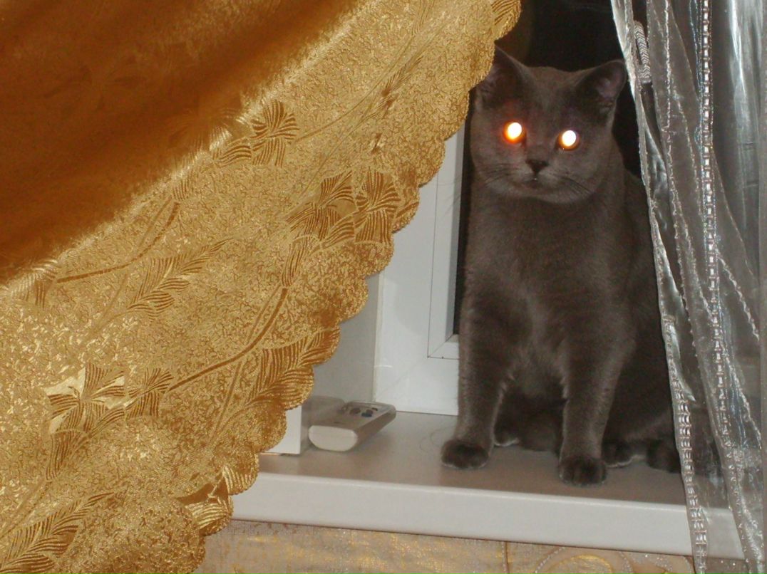 Лариса Серая 