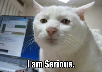 Паша Шнитко | Санкт-Петербург