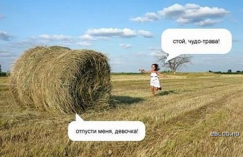 Станислав Мухамадеев | 