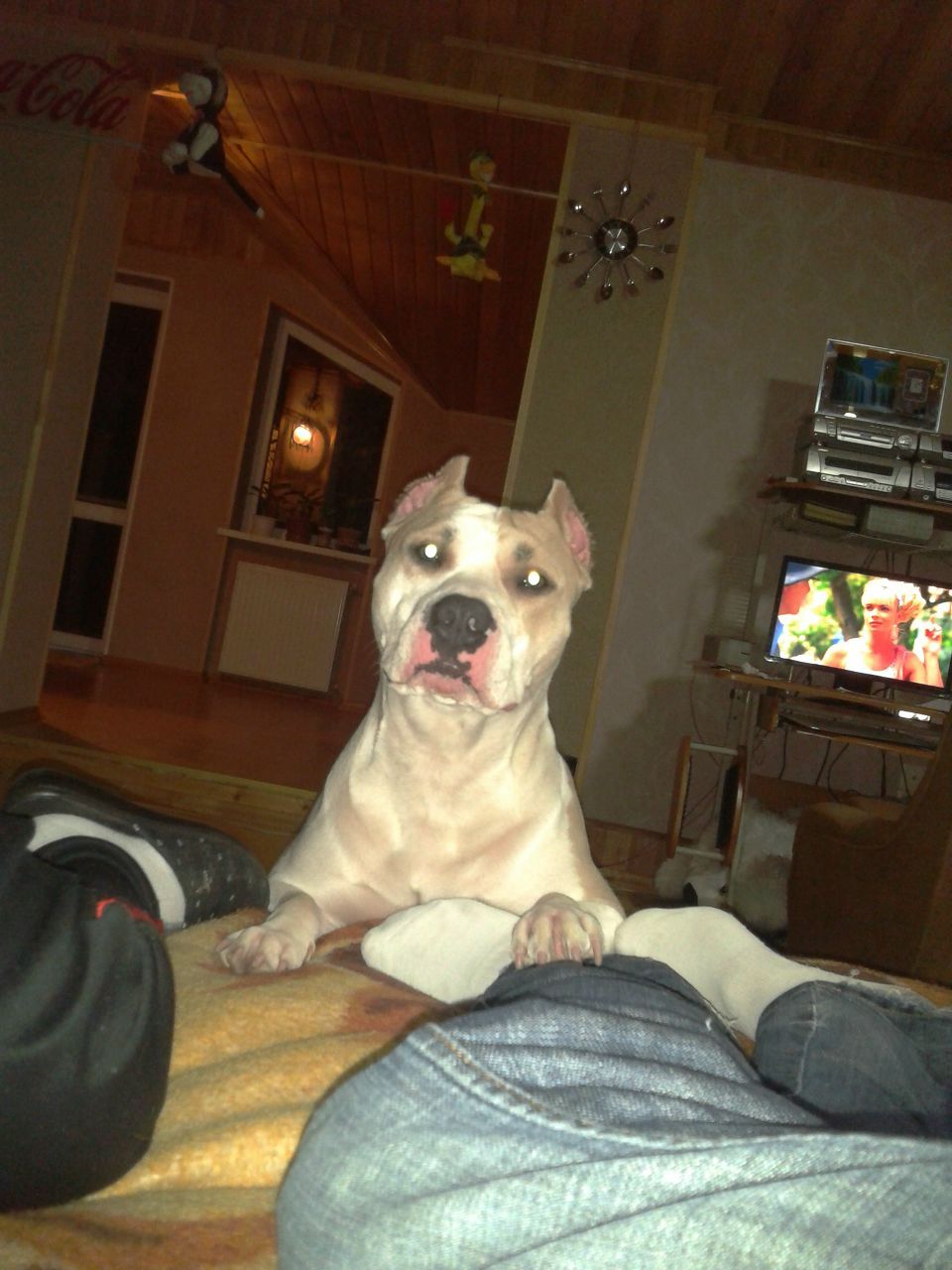 Денис Станиславович | 