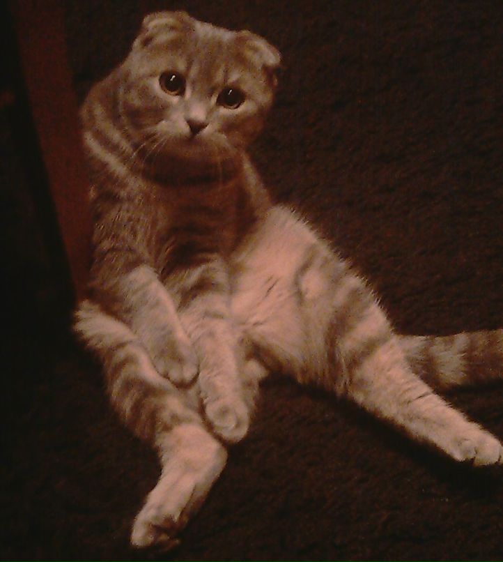 Олеся Бакуменко | Воронеж