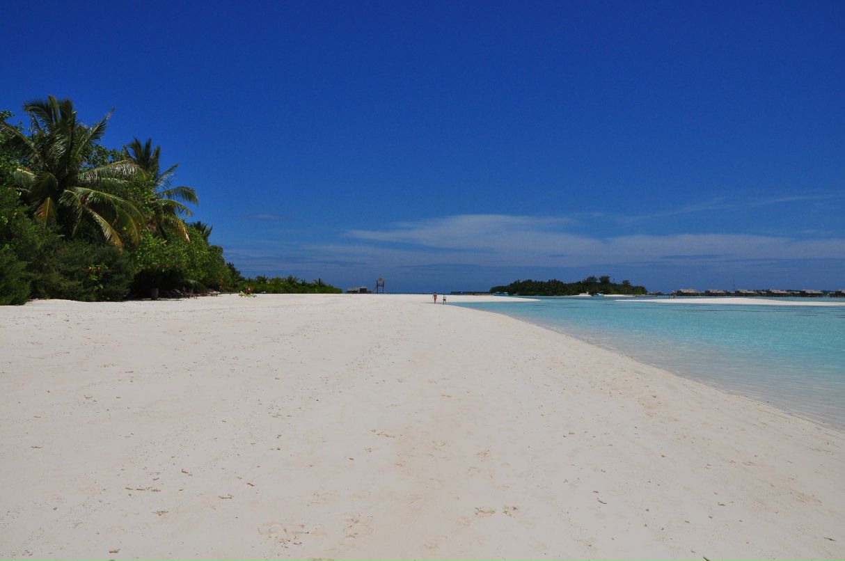 Василий Васильев | Королёв